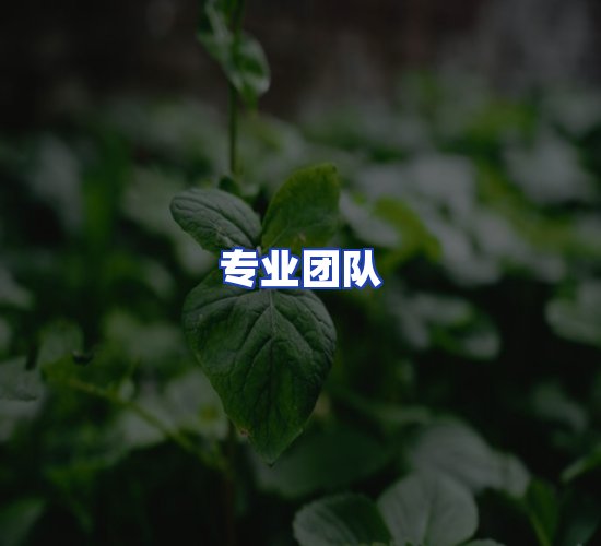 现代化资料管理中心